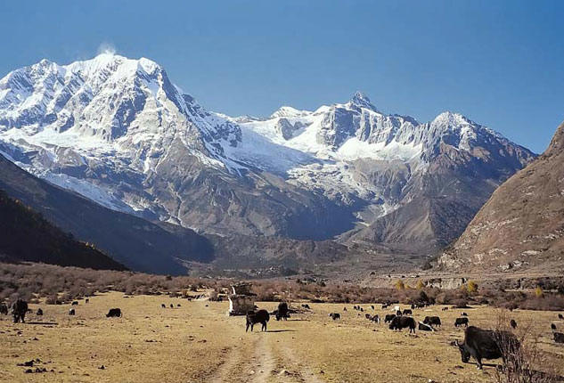 Manaslu Trek